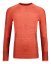 Ortovox W's 230 Competition Long Sleeve dámské triko | Coral | S