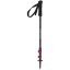 Backcountry Carbon W; 66 - 125 cm