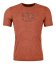 120 Cool Tec Mtn Logo T-shirt Men's - oranžová - Clay Orange Blend