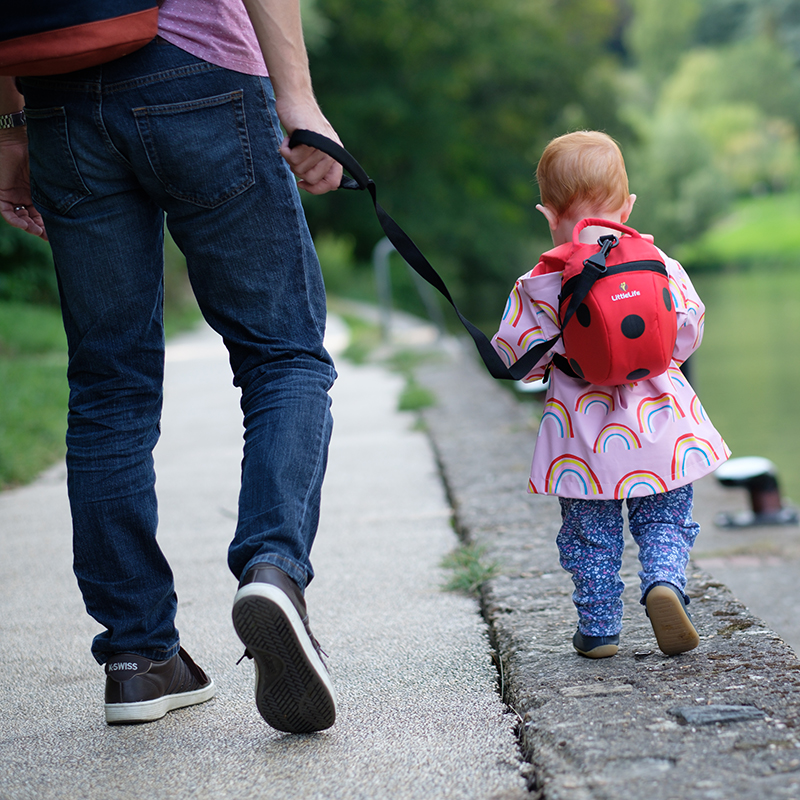 Animal Toddler Backpack; 2 l; ladybird