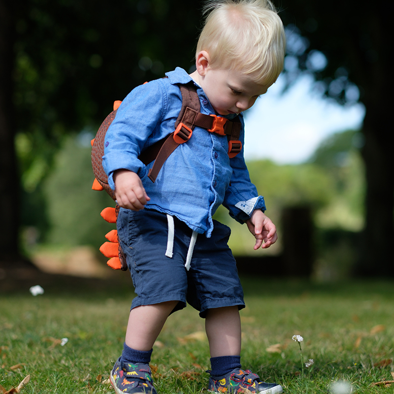 Animal Toddler Backpack; 2 l; dinosaurus