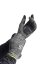 Fleece Light Glove Men's - modrá - Petrol Blue