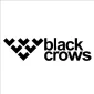 Black crows