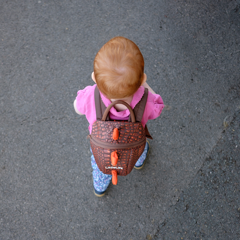 Animal Toddler Backpack; 2 l; dinosaurus