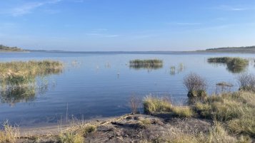 Lužická jezera, Grossräschener See, ideální místo na výlet | vodahory.cz